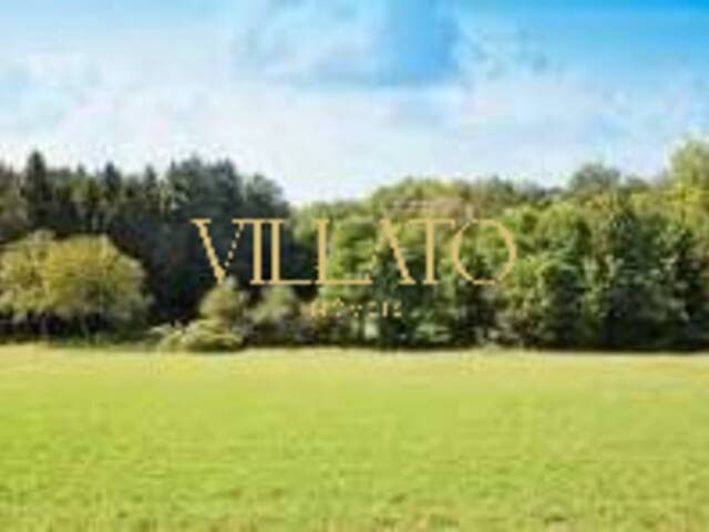 #2193 - Área para Venda em Trindade - GO - 1