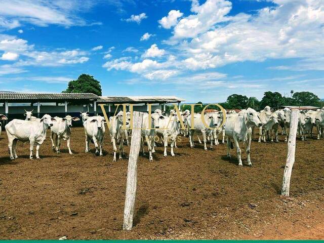 #1397 - Fazenda para Venda em Formosa - GO - 3
