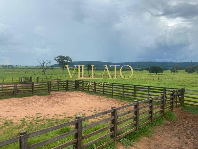 #1398 - Fazenda para Venda em Itarumã - GO - 1