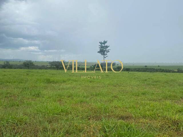 Fazenda para Venda em Itarumã - 5