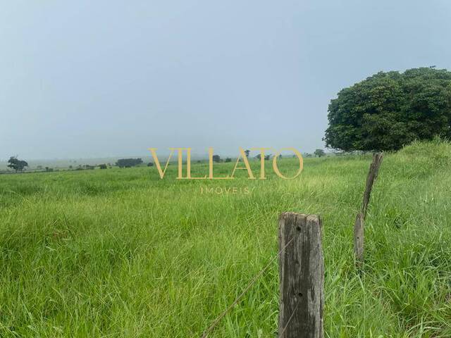 Fazenda para Venda em Itarumã - 4