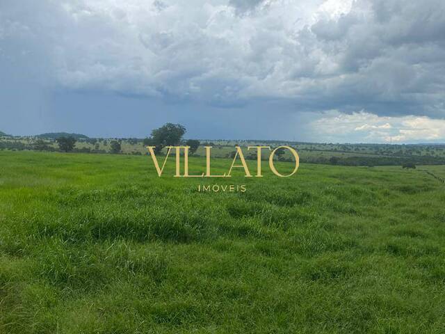 #1398 - Fazenda para Venda em Itarumã - GO - 2