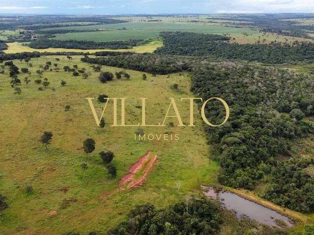 #1399 - Fazenda para Venda em Caçu - GO - 1