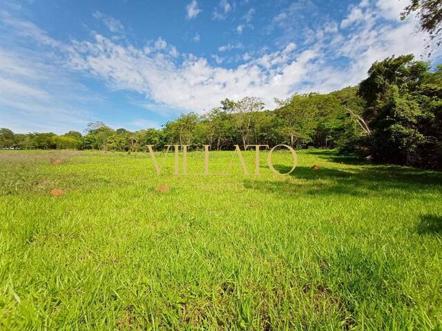 Fazenda para Venda em Pirenópolis - 5