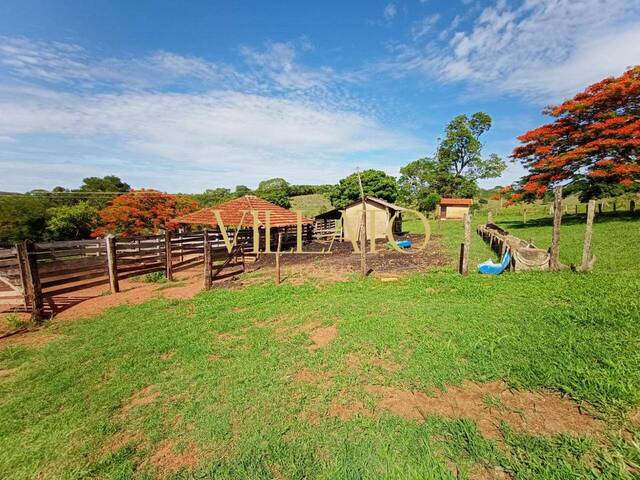 #1400 - Fazenda para Venda em Pirenópolis - GO - 3