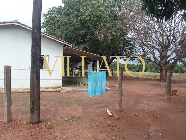 #1401 - Fazenda para Venda em Mundo Novo - GO - 3