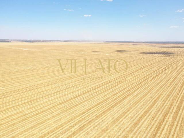 #1405 - Fazenda para Venda em Querência - MT - 2
