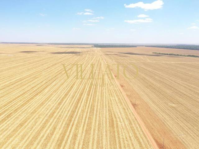 #1405 - Fazenda para Venda em Querência - MT - 1