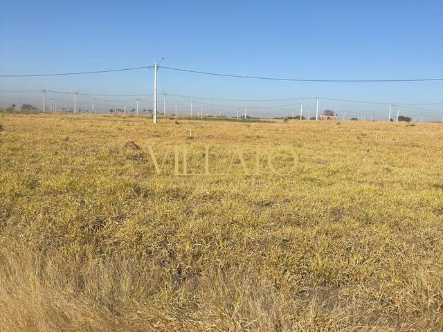 Área para Venda em Goianira - 3