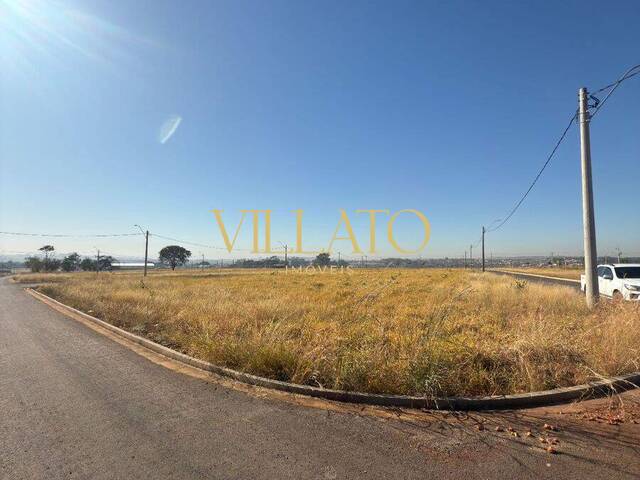 Área para Venda em Goianira - 4